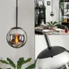 Suspension - Verre Gastor Chrome, Fumé, 1 lumière