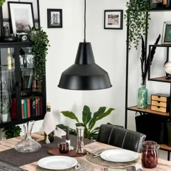 Suspension Aigle Noir, 1 lumière