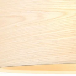 Suspension Brilliant-Leuchten Romm Noir, 2 lumières