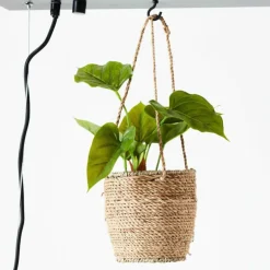 Suspension Brilliant-Leuchten Bankwood Noir, 3 lumières