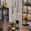 Suspension Caimitte Clair, Fumé, 3 lumières