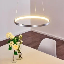 Suspension Canisteo LED Argenté, 1 lumière