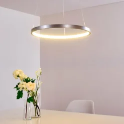 Suspension Canisteo LED Argenté, 1 lumière