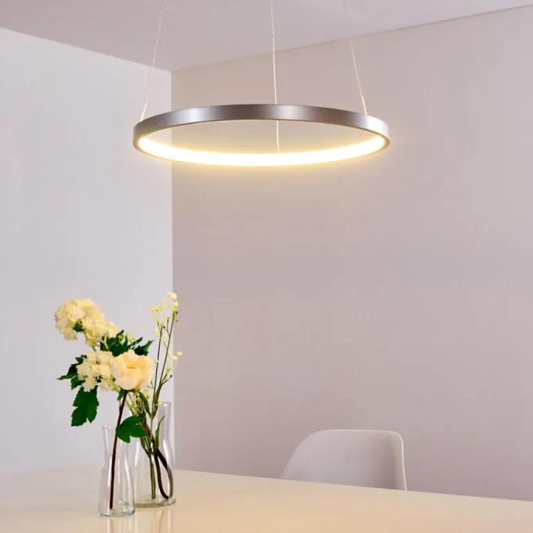 Suspension Canisteo LED Argenté, 1 lumière