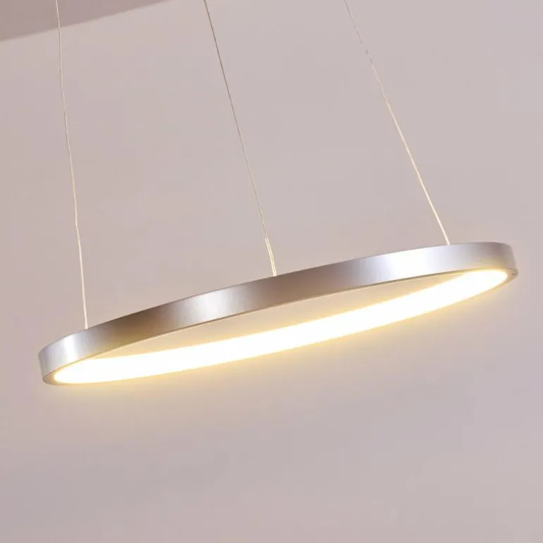 Suspension Canisteo LED Argenté, 1 lumière