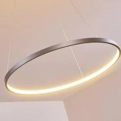 Suspension Canisteo LED Argenté, 1 lumière