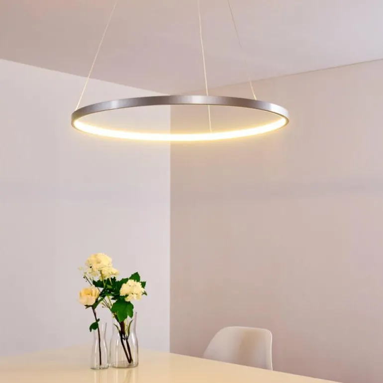 Suspension Canisteo LED Argenté, 1 lumière