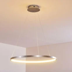 Suspension Canisteo LED Argenté, 1 lumière