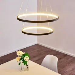 Suspension Canisteo LED Noir, 2 lumières