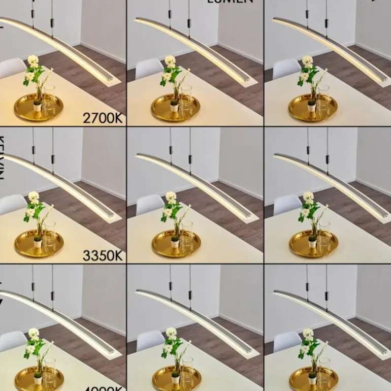 Suspension Delaware LED Argenté, 1 lumière