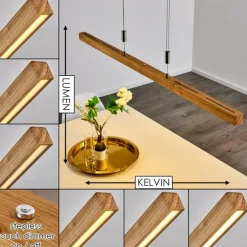 Suspension Deshka LED Argenté, 1 lumière