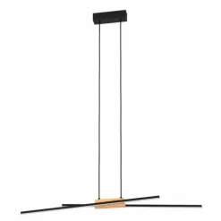Suspension Eglo PANAGRIA LED Brun, Noir, 2 lumières