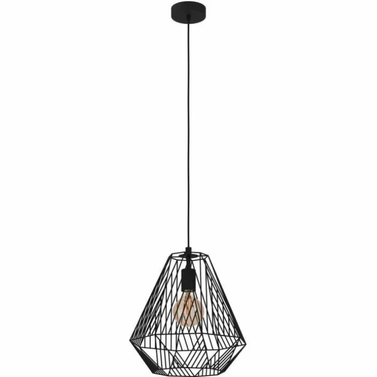 Suspension Eglo-Leuchten STYPE Noir, 1 lumière