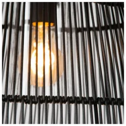 Suspension extérieure Lucide NERIDA Noir, 1 lumière