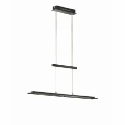 Suspension Fischer & Honsel living Tenso TW LED Verre, 1 lumière