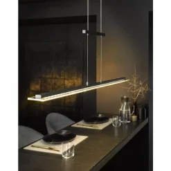 Suspension Fischer & Honsel living Tenso TW LED Anthracite, 1 lumière