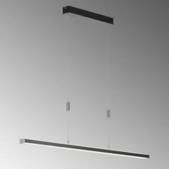 Suspension Fischer & Honsel Vitan TW LED Noir, 1 lumière