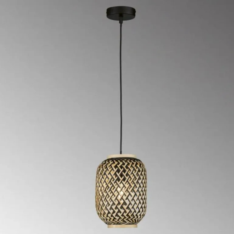 Suspension Fischer & Honsel Hummel Noir, 1 lumière