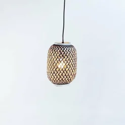 Suspension Fischer & Honsel Hummel Noir, 1 lumière