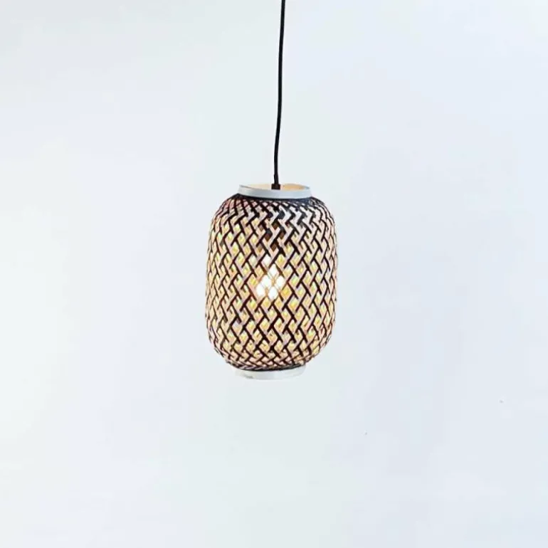 Suspension Fischer & Honsel Hummel Noir, 1 lumière