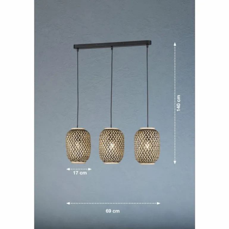 Suspension Fischer & Honsel Hummel Noir, 3 lumières