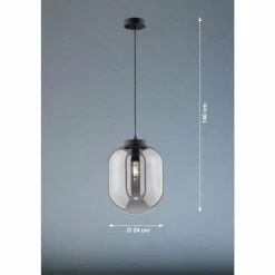 Suspension Fischer & Honsel Regi Noir, 1 lumière