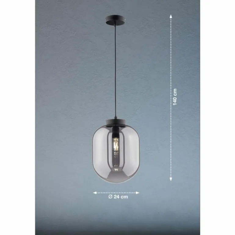Suspension Fischer & Honsel Regi Noir, 1 lumière