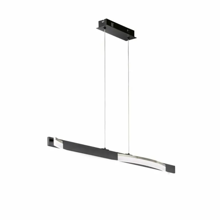 Suspension Fischer & Honsel Bridge LED Noir, 1 lumière