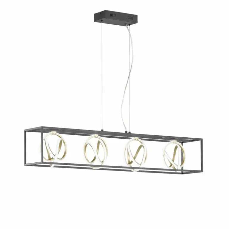 Suspension Fischer & Honsel Gisi LED Noir, 4 lumières, Télécommandes