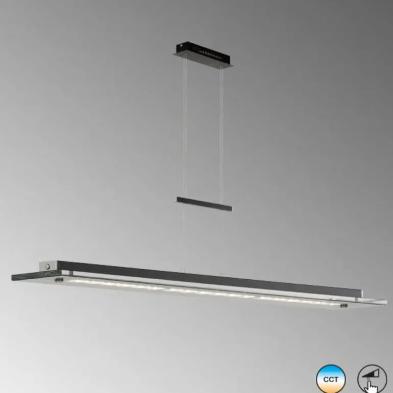 Suspension Fischer & Honsel Bill LED Noir, 1 lumière