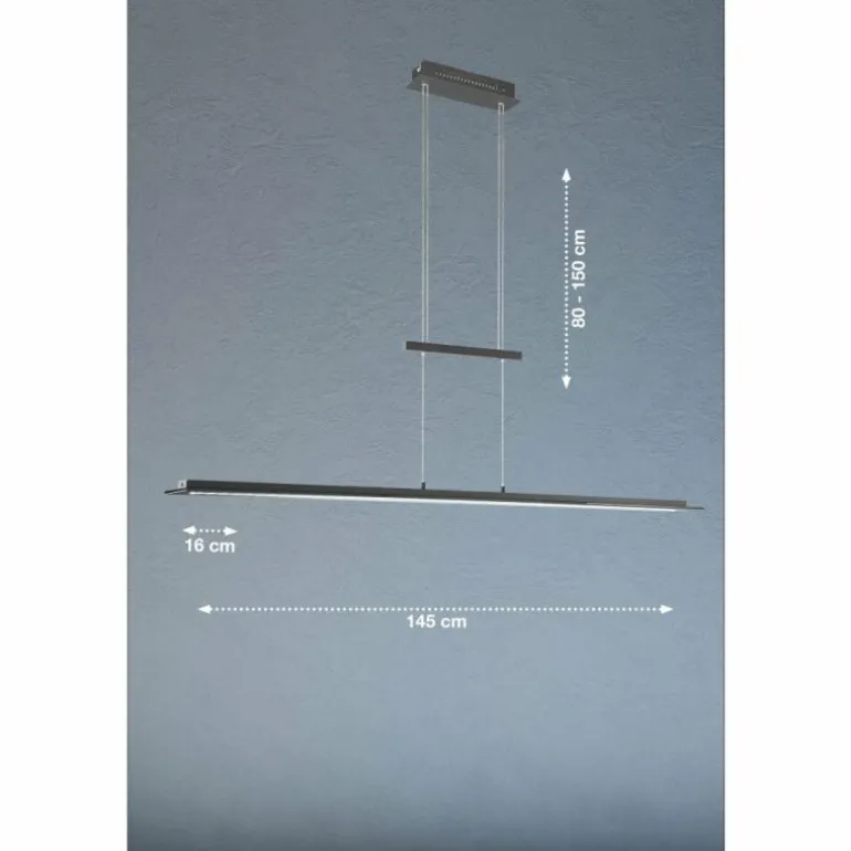 Suspension Fischer & Honsel Bill LED Noir, 1 lumière