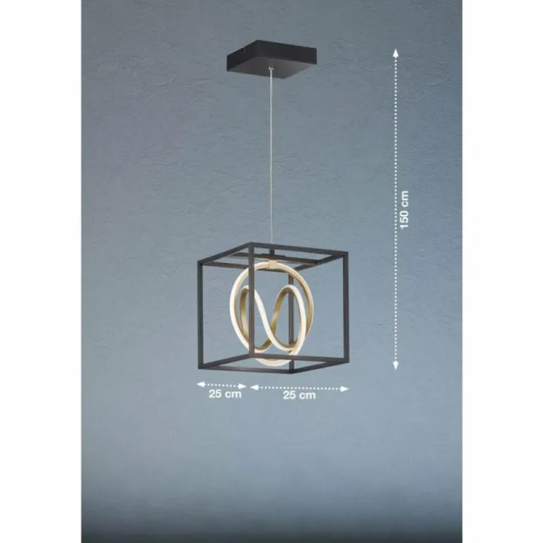 Suspension Fischer & Honsel Gisi LED Noir, 1 lumière, Télécommandes