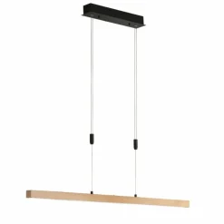 Suspension Fischer & Honsel Straßburg LED Noir, 1 lumière