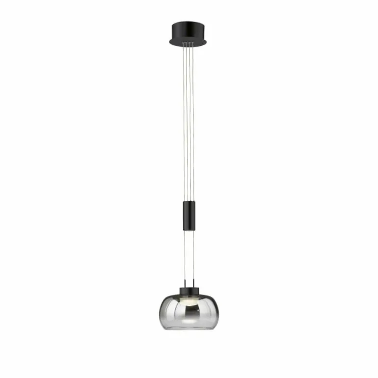 Suspension Fischer & Honsel Arosa LED Noir, 1 lumière
