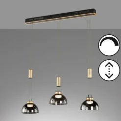 Suspension Fischer & Honsel Avignon LED Noir, 3 lumières