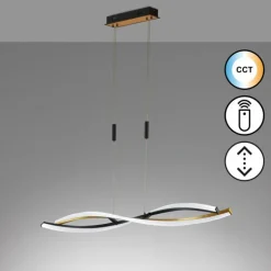 Suspension Fischer & Honsel Torcido LED Noir, 1 lumière, Télécommandes