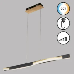 Suspension Fischer & Honsel Bridge LED Noir, 1 lumière, Télécommandes