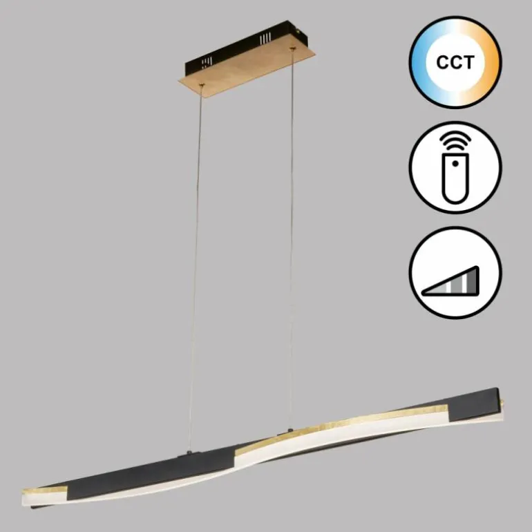 Suspension Fischer & Honsel Bridge LED Noir, 1 lumière, Télécommandes