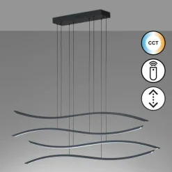 Suspension Fischer & Honsel Fisk LED Noir, 1 lumière, Télécommandes