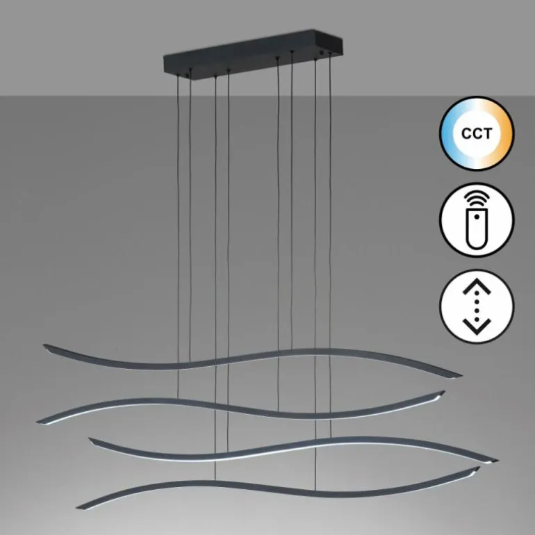 Suspension Fischer & Honsel Fisk LED Noir, 1 lumière, Télécommandes