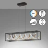 Suspension Fischer & Honsel Gian LED Noir, 1 lumière, Télécommandes