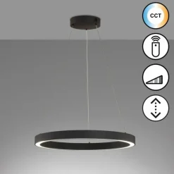Suspension Fischer & Honsel Sirko LED Noir, 1 lumière, Télécommandes