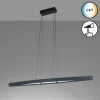 Suspension Fischer & Honsel Fenga LED Noir, 1 lumière