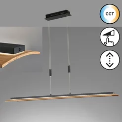 Suspension Fischer & Honsel SHINE-WOOD LED Noir, 1 lumière