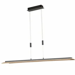 Suspension Fischer & Honsel SHINE-WOOD LED Noir, 1 lumière