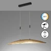 Suspension Fischer & Honsel Colmar LED Noir, 6 lumières