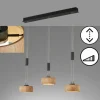 Suspension Fischer & Honsel SHINEWOOD LED Noir, 3 lumières