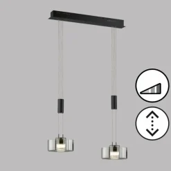 Suspension Fischer & Honsel Lavin LED Noir, 2 lumières