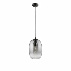Suspension Fischer-Honsel Trace Noir, 1 lumière