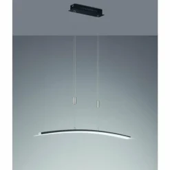 Suspension Fischer-Honsel Metis LED Noir, 1 lumière